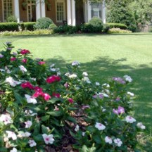 Flower Bed Maintenance in North Atlanta, Georgia