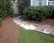 Shrubs, Perennials and Trees